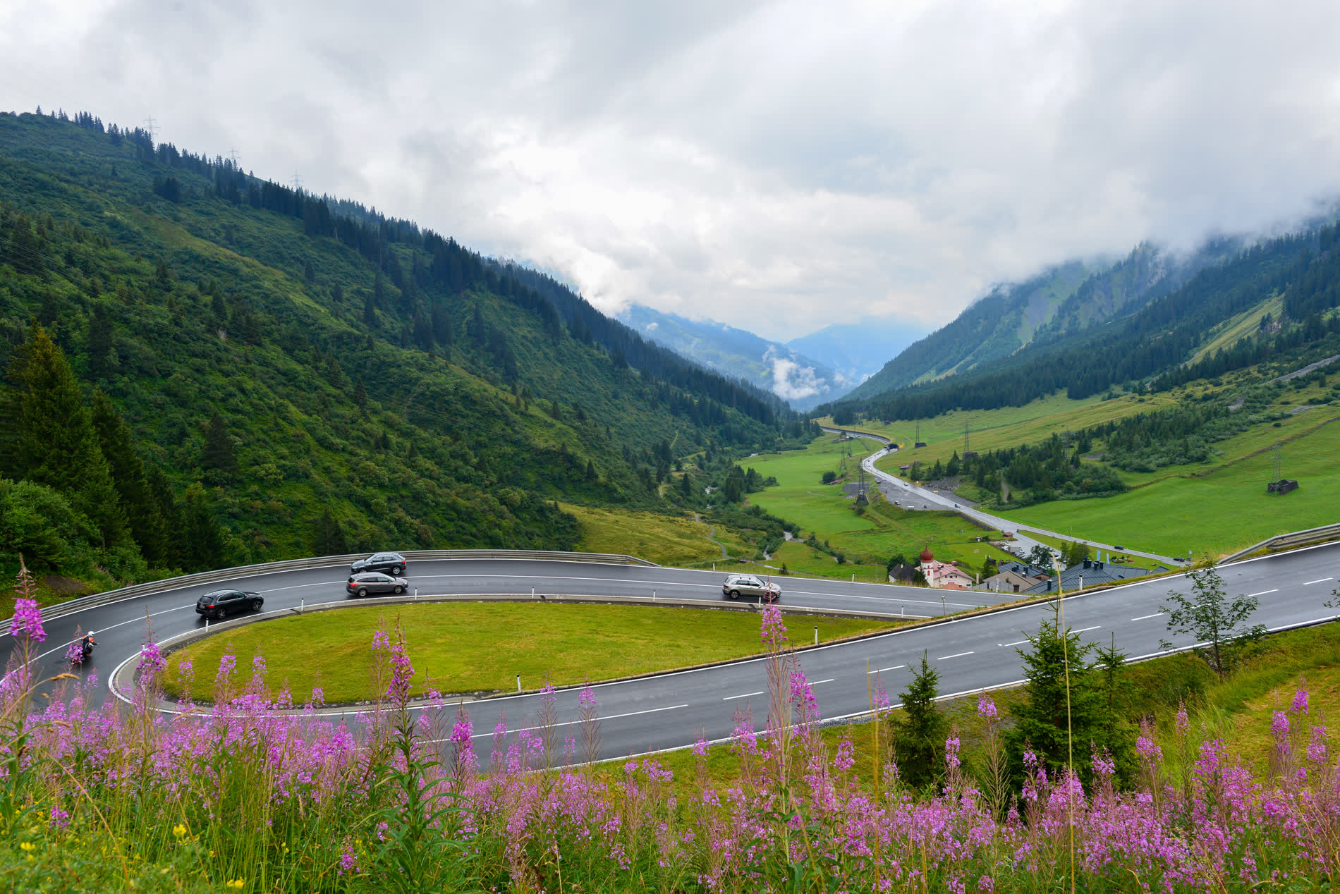 Autos in einer weiten Kehre, im Vordergrund blühende Weidenröschen, dahinter ein Tal mit Wolken Autos in einer weiten Kehre, im Vordergrund blühende Weidenröschen, dahinter ein Tal mit Wolken
